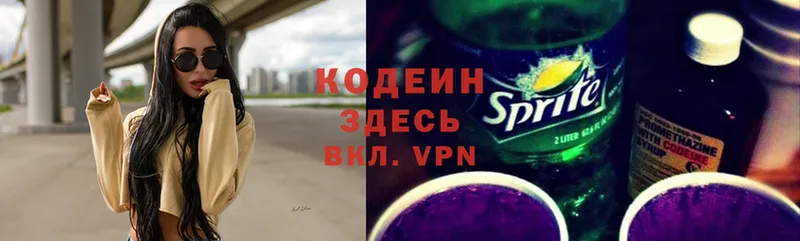 Кодеиновый сироп Lean Purple Drank  Олонец 