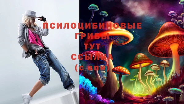 дмт Михайловск